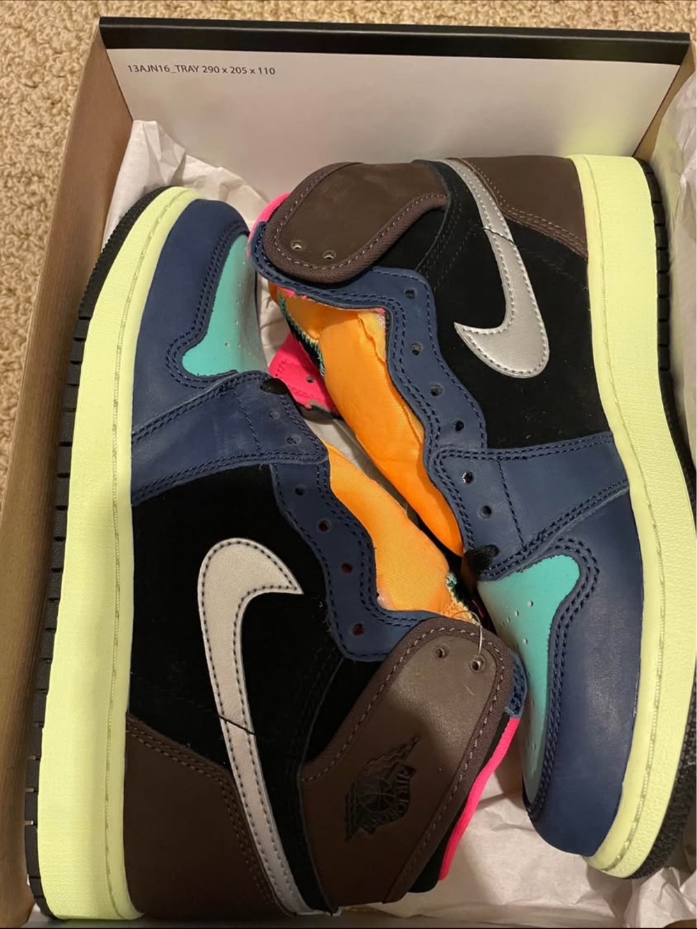 Jordan one bio hack